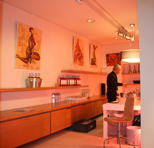 Ligne Roset - Paris 8e et Paris 6e