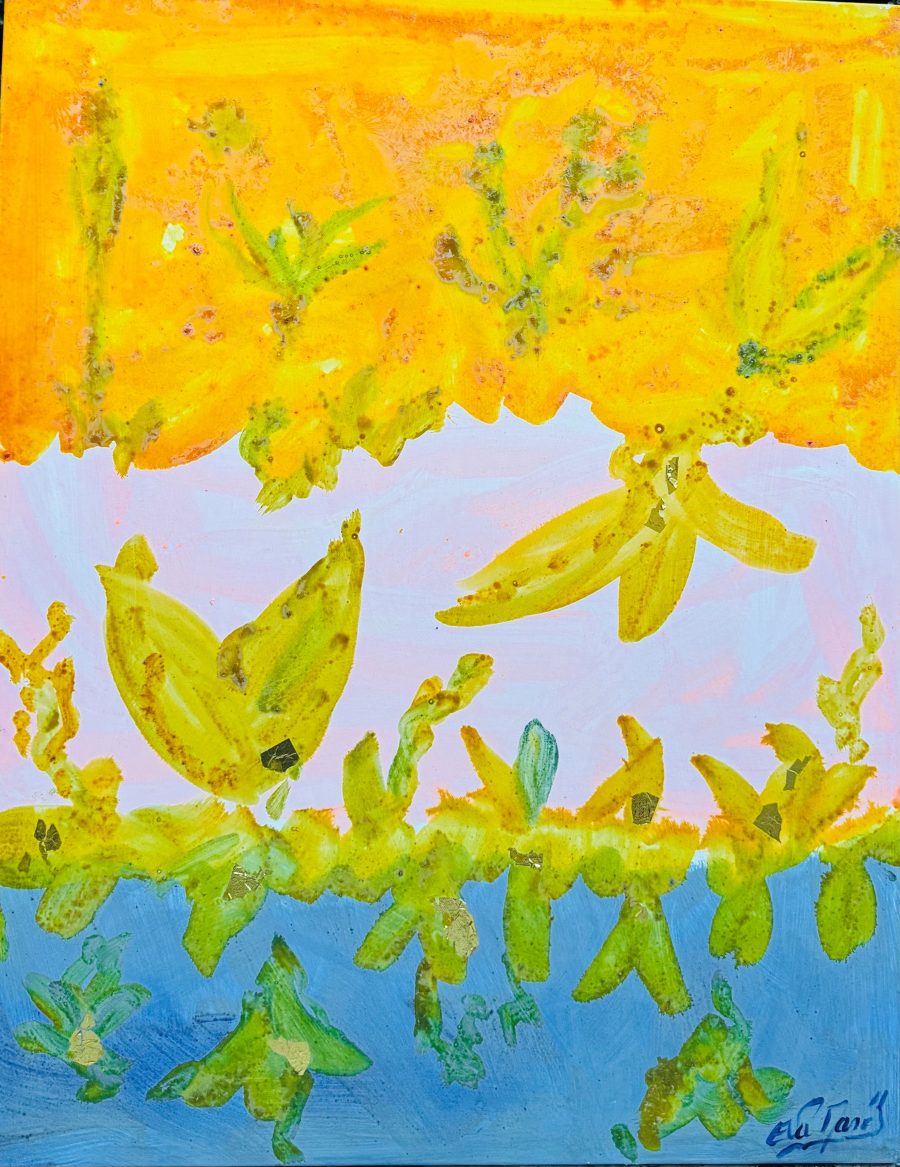 Cactus Harmony - Eva March